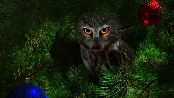 Owl Be Home For Christmas cover excerpt